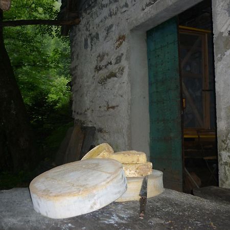 Verdabbio Da Erminia B&B 외부 사진