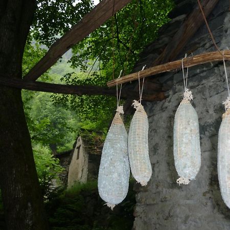 Verdabbio Da Erminia B&B 외부 사진