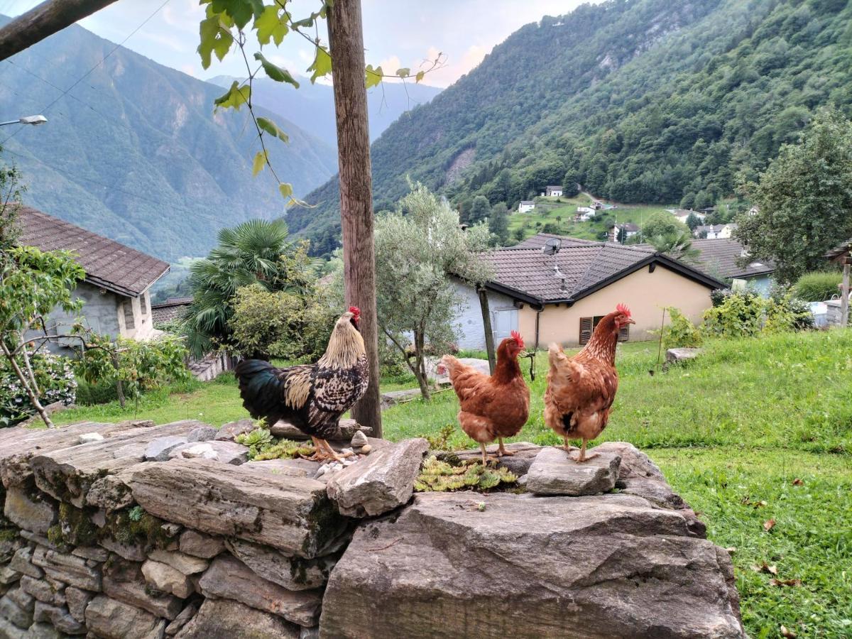 Verdabbio Da Erminia B&B 외부 사진