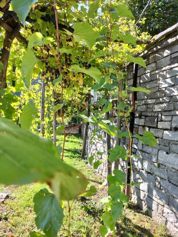 Verdabbio Da Erminia B&B 외부 사진